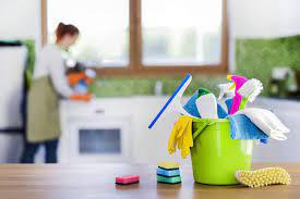 Serviços De Limpeza Residencial. Casal De Donos De Casa