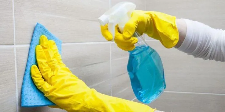 Imagem Ilustrando Clean House Imagem Ilustrando Clean House